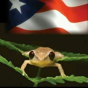 Meet your Posher, Genette